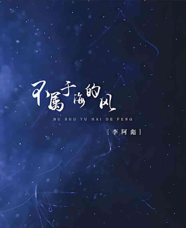不属于海的风
