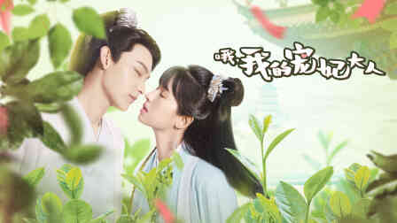 哦,我的宠妃大人