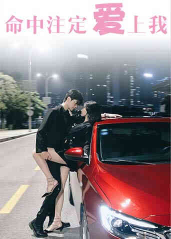 命中注定爱上我