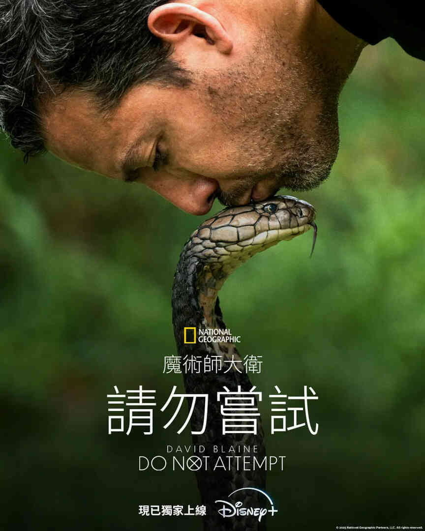 大卫·布雷恩：请勿尝试