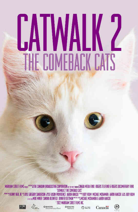 《猫步2:回归的猫》