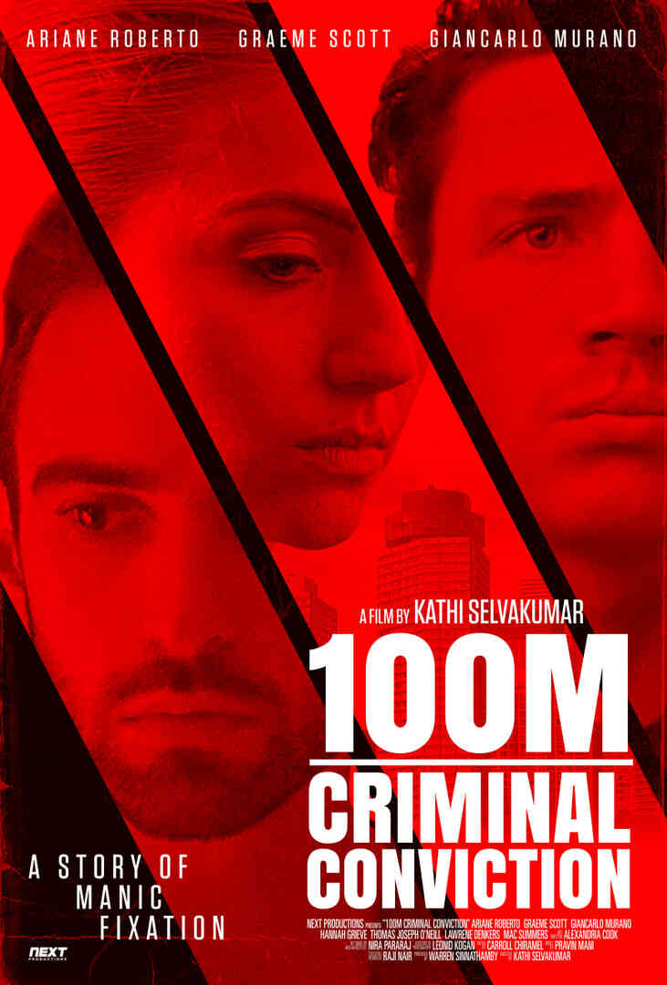 100M 刑事定罪