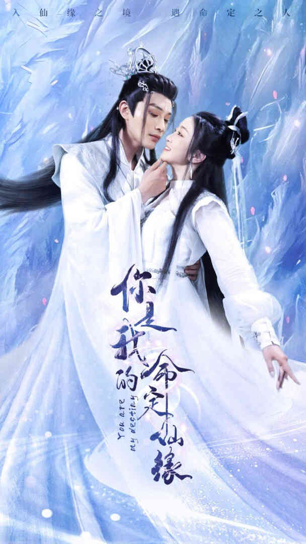 你是我的命定仙缘