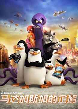 马达加斯加的企鹅