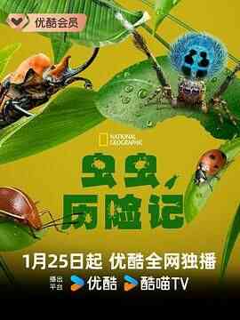 虫虫历险记 第一季