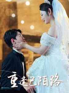 重逢已陌路(林千金她装不下去了)(她如月光碎向星夜)