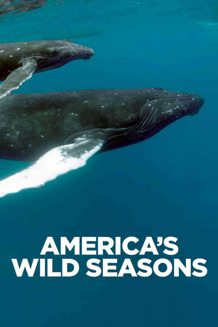 美国荒野的季节