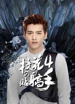 校花的贴身高手4