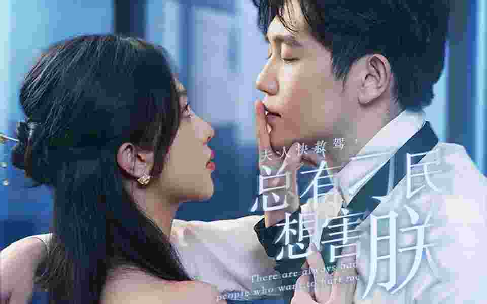 夫人快救驾,总有刁民想害朕