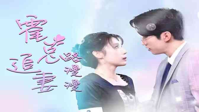 致命爱恋:先生追妻路漫漫