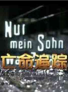 亡命追踪(国语版)