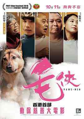 毛侠 毛俠
