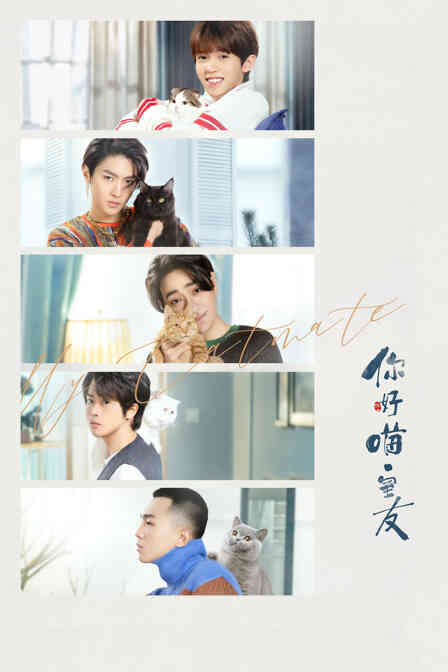 你好,喵室友