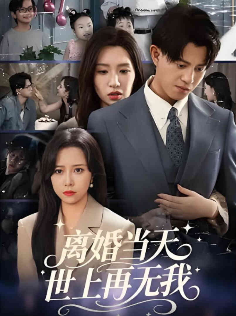 离婚当天世上再无我