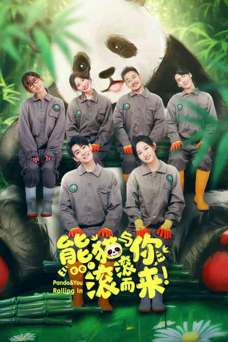 熊猫与你,滚滚而来!