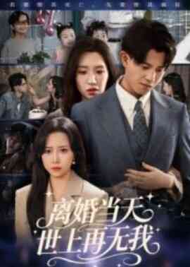 离婚当天,世上再无我