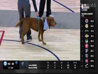 NBA常规赛 老鹰VS掘金 20240407