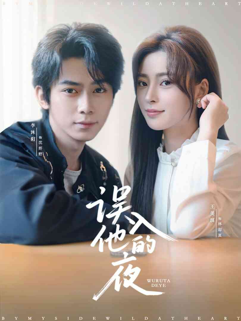 误入他的夜(烬夏危情)