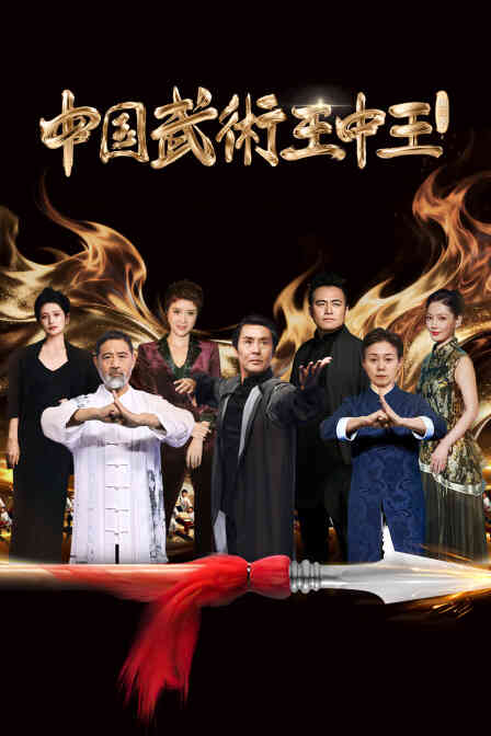 中国武术王中王第二季