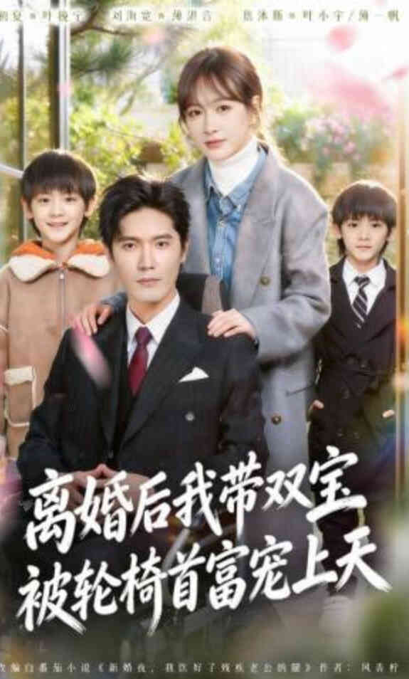 离婚后我带双宝被轮椅首富宠上天(离婚后),我被轮椅首富宠上天