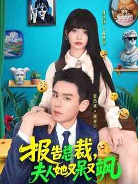 报告总裁,夫人她又呆又飒