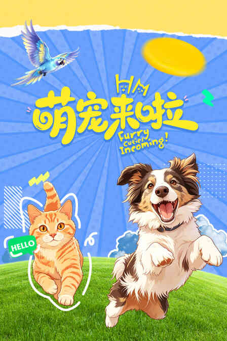 萌宠来啦